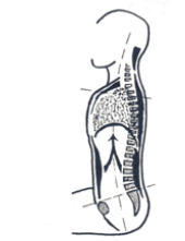 Bildschirmfoto 2025 12 19 um 15.35.10